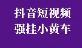 视频爆料如何强挂小黄车,视频爆料背后的秘密