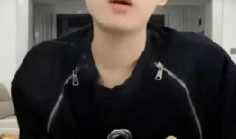 王二博直播间爆料视频,揭秘幕后真相