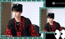 娱乐爆料严浩翔视频播放,娱乐爆料引网友热议