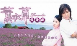 电视剧薰衣草在线观看