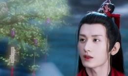 成毅古装剧爆料视频大全,经典角色幕后故事大盘点