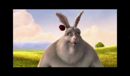 狍子先生爆料视频播放下载,独家播放与下载全解析