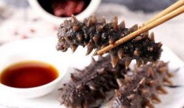 海参哥最新爆料,最新爆料背后的惊人真相