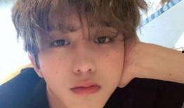 娱乐爆料严浩翔视频播放,娱乐爆料引网友热议