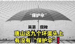 唐山大人爆料新闻最新视频,现场惊心动魄，真相逐渐浮出水面