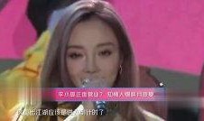 天涯网爆料李小璐视频,天涯爆料引发娱乐圈热议