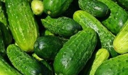 吃瓜群众黄瓜爆料视频,揭秘娱乐圈惊人内幕