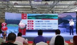 今日百家爆料新闻直播在线观看