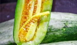 宝坻吃瓜网红是谁啊,网络红人的崛起之路