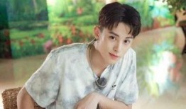 圈内人士爆料王鹤棣图片