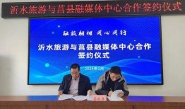 沂水媒体爆料新闻,惊险一幕！村民合力营救落水儿童