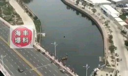 广东海丰爆料新闻最新情况,突发事件引发社会关注