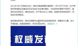 聊城最新事件爆料新闻,揭秘背后真相，引发社会广泛关注