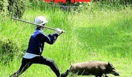 捕山猪视频在线观看,在线观看捕山猪全过程