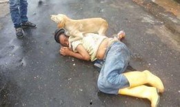 醉宿高清在线观看,沉浸式体验，尽享视听盛宴