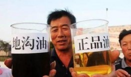 开心爆料地沟油视频,开心爆料视频曝光惊人内幕