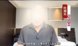 王海爆料杜旭东视频,真相与争议并存