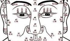女人面相大爆料图解视频,图解视频中的美丽秘密