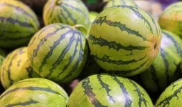 网红吃的生瓜叫什么名字,究竟叫什么名字？揭秘其独特魅力