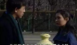 北京人在纽约在线观看,异国他乡的奋斗与追梦之旅