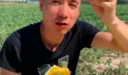 吃瓜真爽视频大全免费播放,全网热门！吃瓜真爽视频大全免费畅享
