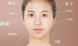 女人面相大爆料图解视频,图解视频中的美丽秘密
