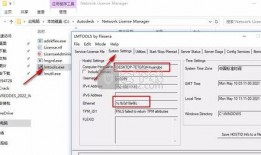 过年网友爆料视频下载软件,热门视频下载软件盘点