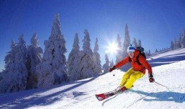 网红滑雪圈爆料事件视频,揭秘背后真相与争议