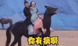 赵露思吴磊圈内人爆料,圈内人爆料，甜蜜互动引热议