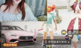 陪玩小姐姐爆料视频大全,揭秘游戏圈幕后故事