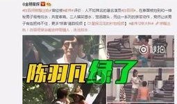 卓伟爆料出轨视频播放,出轨视频引发热议，真相究竟如何？
