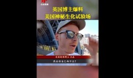 海豚湾博主爆料视频大全,博主爆料视频大全深度解析