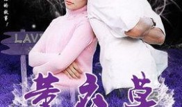 电视剧薰衣草在线观看