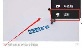 拍爆料视频赚钱吗,轻松赚取额外收入的秘诀