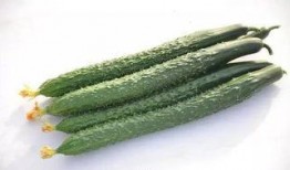 吃瓜群众黄瓜爆料视频,揭秘娱乐圈惊人内幕