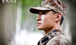 电视剧雪域雄鹰全集在线观看,高原英雄的传奇征程