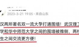 华中大学最新爆料,揭秘科研突破背后的故事