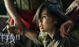 战狼2在线观看下载,独家观看下载，燃情再现！