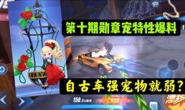 飞车10期勋章爆料视频,全新爆料视频带你领略游戏魅力