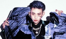 王琳凯新闻最新爆料,揭秘明星背后的真实故事