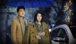 电视剧步步惊情全集在线观看,穿越时空的爱恋，揭秘命运纠葛！