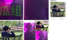 何炅爆料旅游视频,一场说走就走的旅行，带你领略未知美景