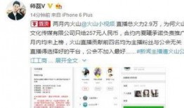 知名主持爆料视频在线观看,独家内容在线观看解析