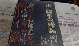牛蛙店老板爆料视频大全,揭秘视频大全背后的惊人真相