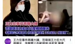 王力宏范玮琪视频爆料,揭秘娱乐圈背后的真相