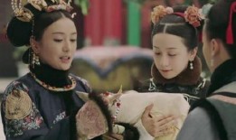 古晋抢婚凤渊吃瓜免费阅读,凤渊吃瓜，免费阅读大揭秘