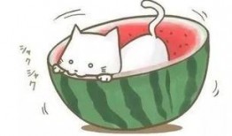 带你吃瓜免费观看,揭秘娱乐圈幕后故事