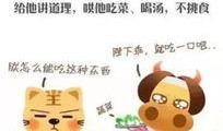 幼儿园视频爆料怎么做,揭秘幼儿教育现状与挑战