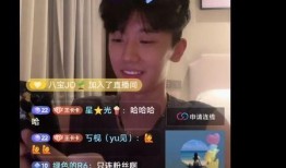 王二博直播间爆料视频,揭秘幕后真相