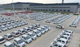 昌乐最新爆料,揭秘背后惊人真相！